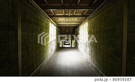 群馬県土合駅の構内 80959387