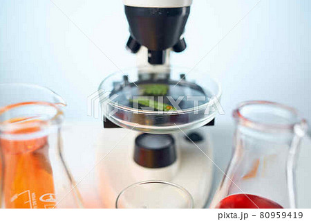 woman laboratory assistant microscope analyzes diagnostics biotechnology 80959419