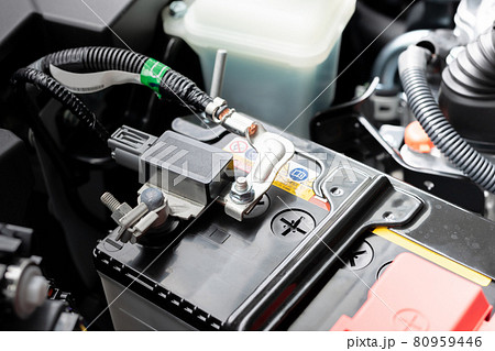 新車のエンジンルーム 80959446