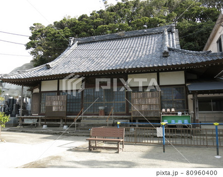 三浦市の三崎にある大椿寺(椿の御所) 三浦市の三崎にある大椿寺(椿の御所) 80960400