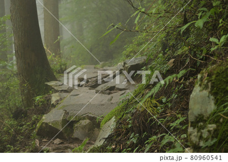 霧の登山道 霧の登山道 80960541