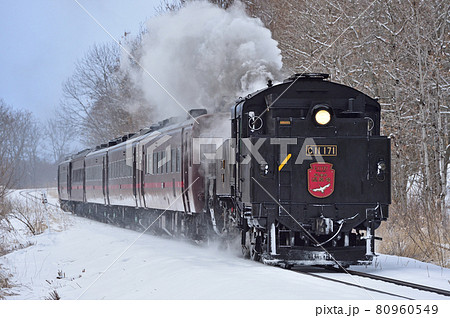 釧網本線 釧路湿原-遠矢 JR北海道 C11-171(釧路) SL冬の湿原号 釧網本線 釧路湿原-遠矢 JR北海道 C11-171(釧路) SL冬の湿原号 80960549