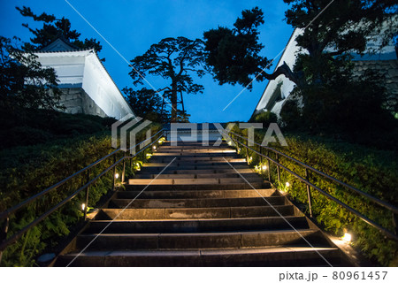 「黄昏の小田原城」　午後6時40分ごろ夜間照明の開始と共に白壁の天守閣、重厚な常盤門が浮かび上がった 80961457