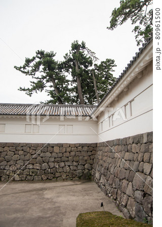 「黄昏の小田原城」　午後6時40分ごろ夜間照明の開始と共に白壁の天守閣、重厚な常盤門が浮かび上がった 80961500