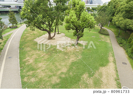 天神橋から見た中之島公園芝生広場 大阪市 の写真素材