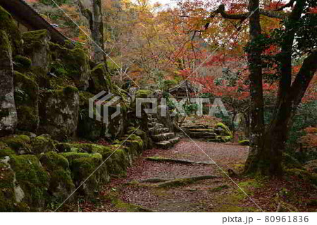 高源寺の紅葉 高源寺の紅葉 80961836