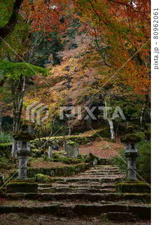 高源寺の紅葉 高源寺の紅葉 80962061