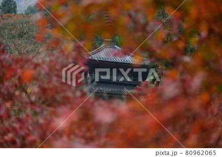 高源寺の紅葉 高源寺の紅葉 80962065