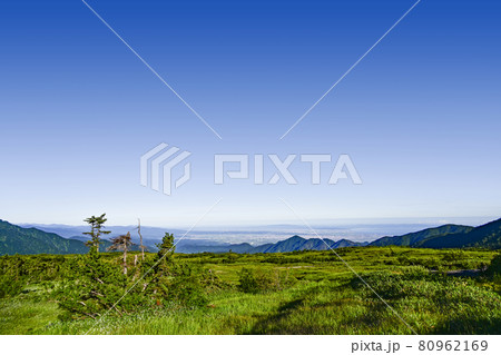 早朝の弥陀ヶ原から富山平野を望む 80962169