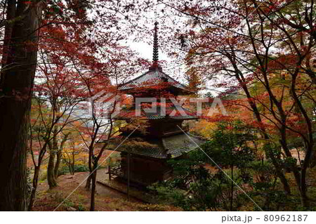 高源寺の紅葉 高源寺の紅葉 80962187