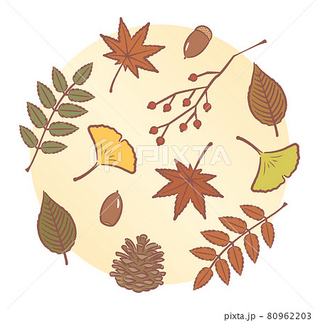落ち葉と木の実 80962203