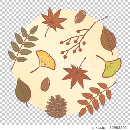 落ち葉と木の実 80962203