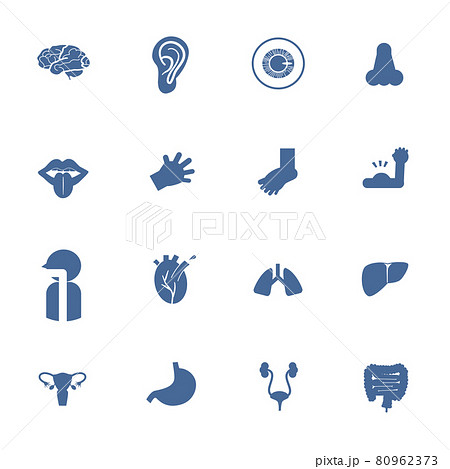 Human body built-in pictogram Blue No frame 80962373