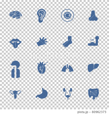 Human body built-in pictogram Blue No frame 80962373