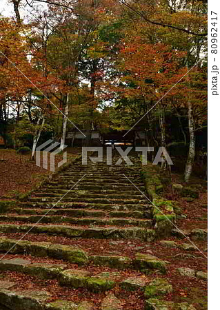 高源寺の紅葉 高源寺の紅葉 80962417