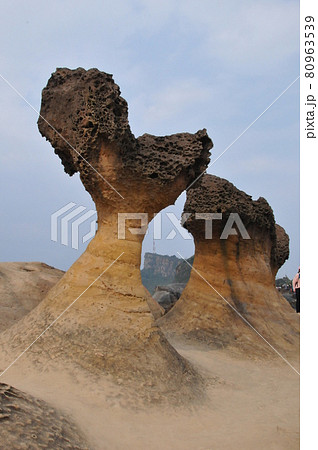 台湾、野柳、野柳地質公園、奇岩・怪石の並ぶ海岸、キノコ岩 80963539