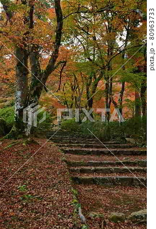高源寺の紅葉 高源寺の紅葉 80963733