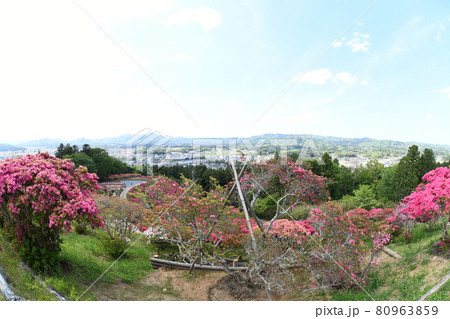 笠間つつじ園 80963859