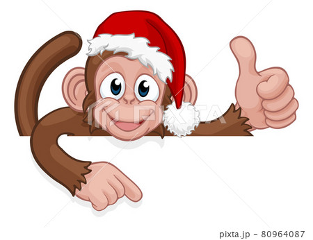 monkey with santa hat