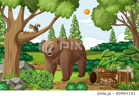 Scene with grizzly bear in the forest at daytime 80964191