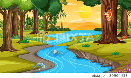 River through the forest scene at sunset time River through the forest scene at sunset time 80964433