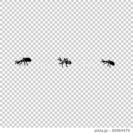 あり　アリ　蟻　昆虫　 80964479