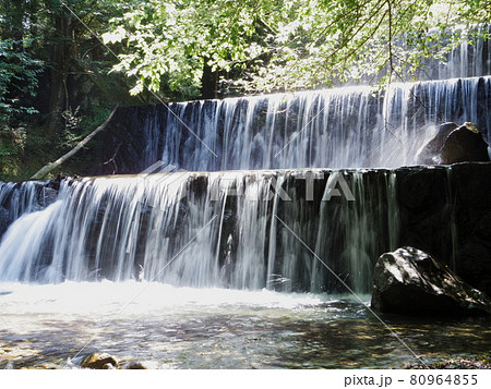 丹沢　谷太郎沢の風景3 80964855