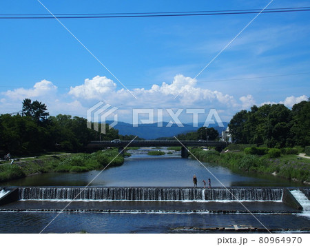 京都の夏を川で過ごす 80964970