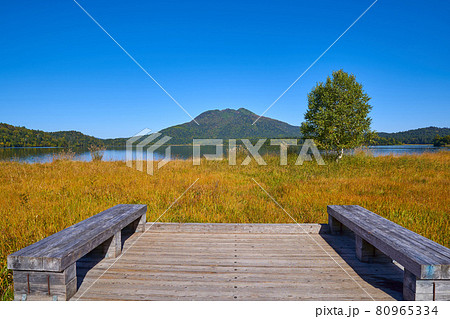 秋の尾瀬 尾瀬沼南岸の湖畔(尾瀬沼休憩所付近)から燧ヶ岳方面 80965334