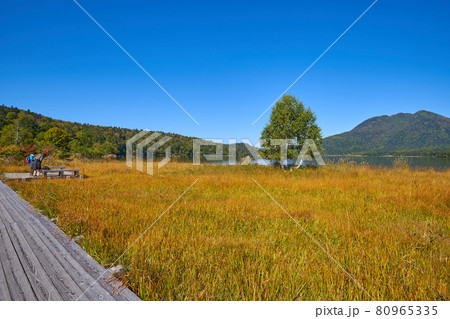 秋の尾瀬 尾瀬沼南岸の湖畔(尾瀬沼休憩所付近)から燧ヶ岳方面 80965335