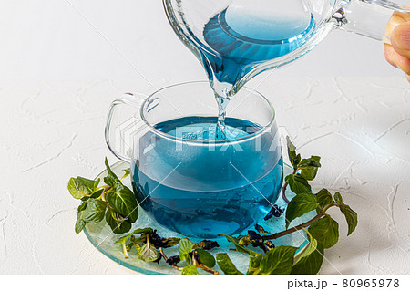 青いハーブティー Butterfly Pea blue flower herbal tea 青いハーブティー Butterfly Pea blue flower herbal tea 80965978
