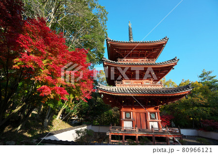 宝福寺の重要文化財三重塔のたたずまいと晩秋の青空 岡山県総社市 宝福寺の重要文化財三重塔のたたずまいと晩秋の青空 岡山県総社市 80966121