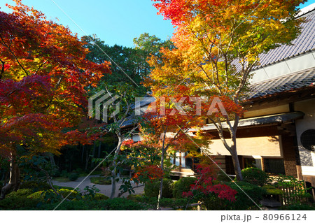 宝福寺塔頭・般若禅院の晩秋のたたずまい　岡山県総社市 80966124