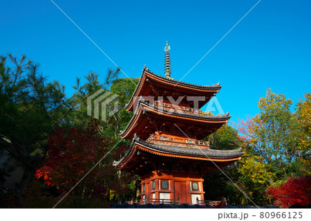 宝福寺の重要文化財三重塔と晩秋の青空 岡山県総社市 宝福寺の重要文化財三重塔と晩秋の青空 岡山県総社市 80966125