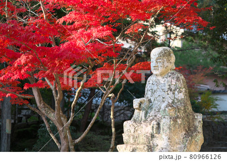 宝福寺のお地蔵さんと紅葉に差す朝日 岡山県総社市 宝福寺のお地蔵さんと紅葉に差す朝日 岡山県総社市 80966126