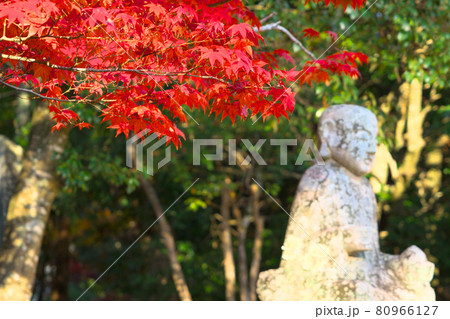 宝福寺の朝日に照らされる紅葉とお地蔵さん　岡山県総社市 80966127