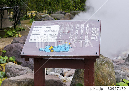 鬼石坊主地獄 80967179
