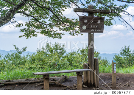 棒ノ折山（埼玉県飯能市）の山頂 80967377