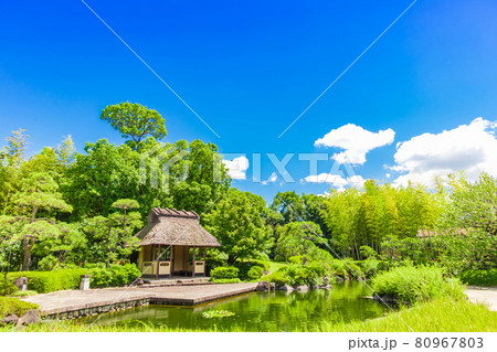 丈山苑、緑美しい和風庭園〈愛知県安城市〉 丈山苑、緑美しい和風庭園〈愛知県安城市〉 80967803