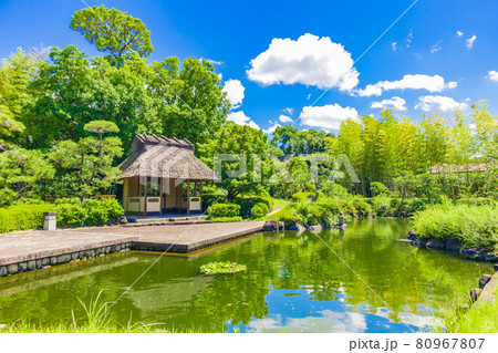 丈山苑、緑美しい和風庭園〈愛知県安城市〉 80967807