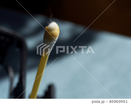Earwax on a cotton swab, macro photo. Earwax, also known by the medical term cerumen, is a brown, orange, red, yellowish or gray waxy substance secreted in the ear canal of humans and other mammals. 80969001