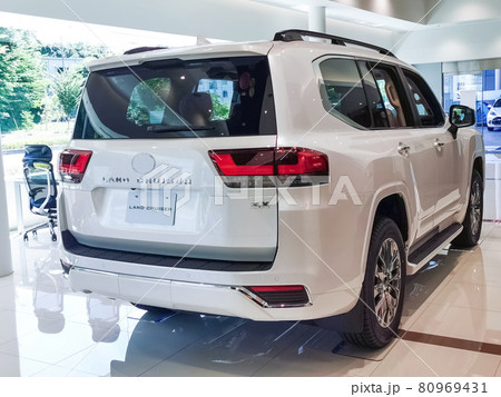 ランドクルーザー300 80969431