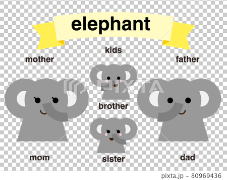 大象家族 80969436