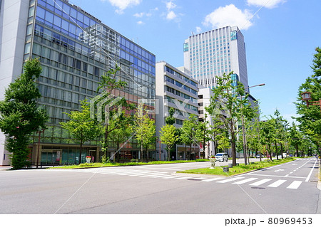 御堂筋(本町付近)/大阪市中央区 御堂筋(本町付近)/大阪市中央区 80969453