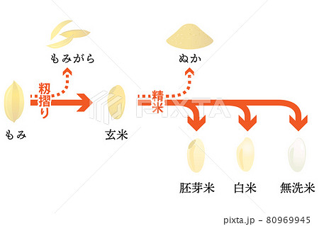 米の籾摺り・精米の流れ ベクターイラスト （日本語テキスト付き） 80969945
