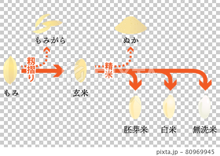 米の籾摺り・精米の流れ ベクターイラスト （日本語テキスト付き） 80969945