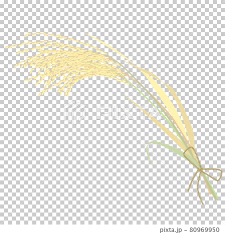 束ねた稲穂のベクターイラスト 80969950