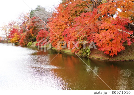 お堀に映り込む紅葉　棚倉城跡 80971010
