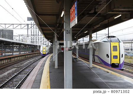 函館駅に停車中の特急北斗（キハ261系車両） 80971302