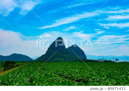 ヘルシーランド温泉保養館近くにある面白い形をした竹山 80971452